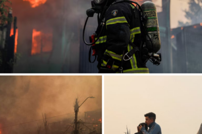 “THEY COULDN’T ESCAPE THE FLAMES” — Chile Fires K!:ll at Least 18 as Firefighters Battle Extreme Heat and Ferocious Winds
