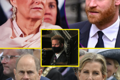 “NO SECRETS, NO SIDES.” — Duchess Sophie’s ‘Lengthy Chat’ With Prince Harry Sparks Fresh Royal Tension