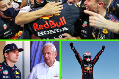 “IT WAS A HARD CALL TO MAKE…” — Max Verstappen Opens Up on Emotional Phone Call with Departing Red Bull Chief