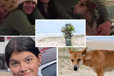 “We Have to Be There…” — Grieving Parents Fly to Australia for Heartbreaking Farewell After K’gari Backpacker’s D3:ath