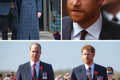 ABSOLUTELY ASTONISHING: PRINCE HARRY’S “QUIET MESSAGE” TO PRINCE WILLIAM EMERGES AS ROYALS PRESS ON — AND NO ONE SAW IT COMING