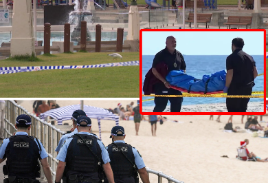 A b0dy in broad daylight at a paradise beach: Homicide squad urgently intervenes to solve the mysterious d3:ath of a woman!