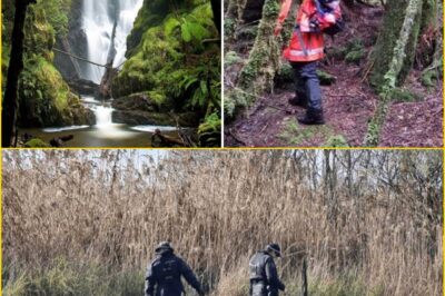 Heartbreaking New Development in Search for Missing Belgian Woman After Human Re-ma-ins Discovered in Remote Tasmanian Bushland