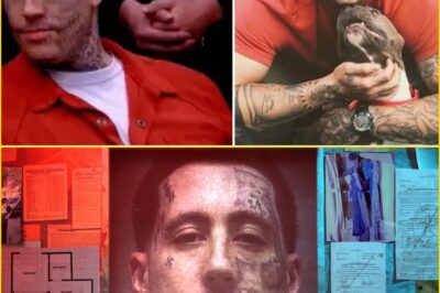 FROM MEME TO M0NSTER — A Tattooed Face, a Televised Trial, and a Cri:me So Distu-rbing It Turned Obsession Into Spectacle… Until Paramount+ Reveals What Really Happened