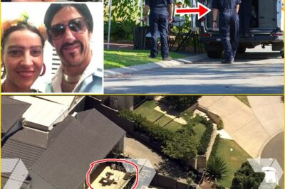 ‘Unimaginable Trag:edy. We Found Something’ — But Was the H0rr0r in Mosman Park Really Unseen? Premier Speaks as Distu:rbing Questions Emerge