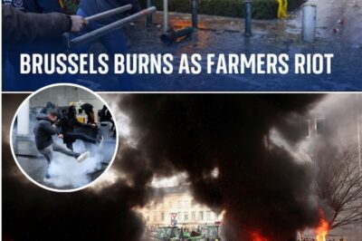 “THIS IS ONLY THE BEGINNING” — Burning Trees, Smashed Windows and 1,000 Tractors Force EU to Retreat as Farmers’ Uprising Shakes Brussels