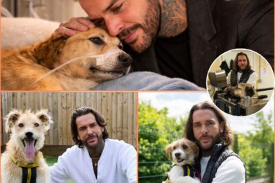 ‘I’LL PAY EVERY PENNY — JUST DON’T LET HER D-I-E’: Pete Wicks’ emotional vow to save a rescue dog leaves fans in tears