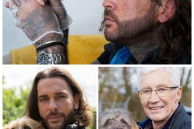 “WE DIDN’T EXPECT THIS FROM PETE WICKS” — His Quiet Redemption on For Dogs’ Sake Has Fans in Tears and Sparks Emotional Comparisons to Paul O’Grady