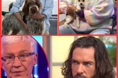 Pete Wicks Secures Major TV Role — Fans Hail Him as the ‘Worthy Successor to Paul O’Grady’