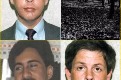 “For 30 Years, Everyone Believed the Lie…”: Netflix’s New True-Cri:me B0mbshell Shatters a Millionaire’s Perfect Life in One H0rrif:ying Discovery