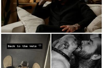 “I Don’t Know How to Accept This” Strictly Star Pete Wicks Breaks Silence After Losing His Beloved Frenchie Peggy