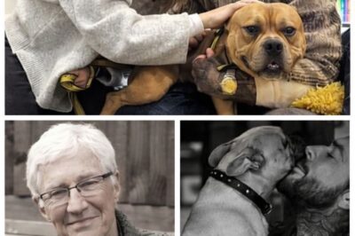 Pete Wicks Lands Career-Defining TV Role as Viewers Call Him a ‘Worthy Successor to the Late Paul O’Grady’