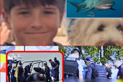 “I Didn’t Think — I Just Jumped…” A friend of the 12-year-old mauled by a shark reveals the split-second decision he made to save his friend from the ocean’s preda0or