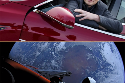 “TESLA IN TROUBLE?” — ELON MUSK SEEMS OBLIVIOUS AS SALES SLIDE CONTINUES 😱📉