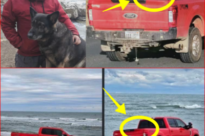 “THE BLUE-AND-WHITE KAYAK IN THE TRUCK BED…” — A chil-ling detail in the case of a 39-year-old man and his dog who vanished without a trace AT CAPE HATTERAS BEACH