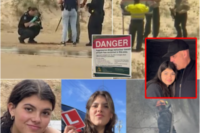 The final words the 19-year-old told her parents, just hours before police reported that her b0dy had been found surrounded by 12 wild dogs, leaving her family devastated beyond words