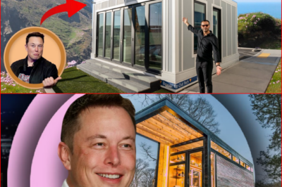 “NOT A MANSION. NOT A PALACE.” — The Quiet Moment That Sparked Elon Musk’s Tesla Tiny House Idea