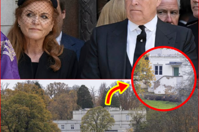 💥 “COMPLETE MYSTERY…” — Royal Lodge Never Inspected During 22 Years Andrew Lived Rent-Free