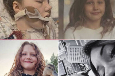 The Update Everyone Prayed For: Maya Gebala Speaks After Coma, and Doctors Share the News That’s Restoring Hope