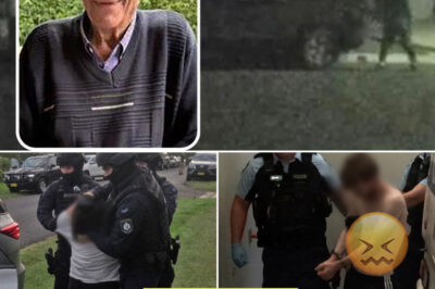 6:30 AM Raids, Two Arrested — But Is a Bigger Network Behind the Brutal De@th of 85-Year-Old Chris Baghsarian?