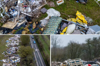 Fly-Tippers Walk Free as Farmer Faces £50K Bill for ‘River of Rubbish’ Dumped on His Land
