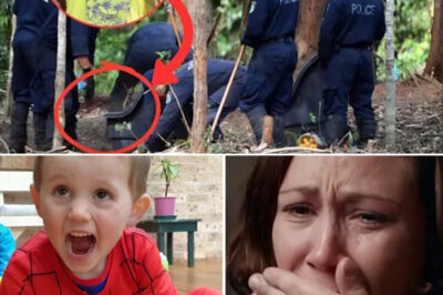 He Would Be a Teenager Today: The Unanswered Disappearance of William Tyrrell Still Breaks Hearts