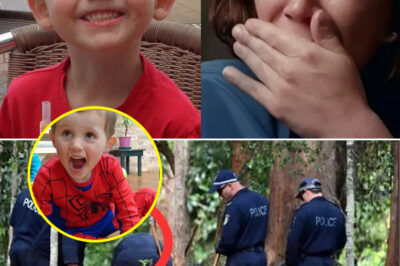 William Tyrrell Case: What Confirmation of His Remains Would Mean After Ten Years of Questions