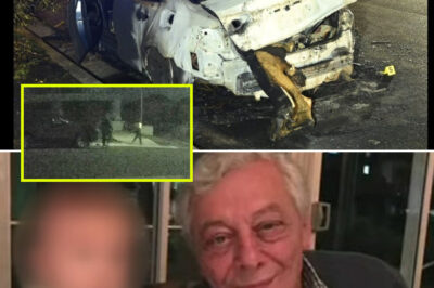 Chi-ll-ing Twist in Elderly Sydney Man’s Abduction as Police Zero In on Fresh Evidence