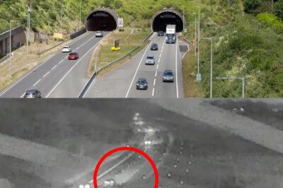 De@dly Crash Near Tunnel Sparks Urgent Dashcam Appeal After Two Fatalities Confirmed