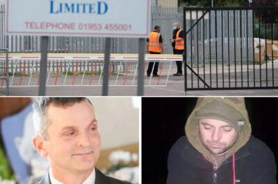 The 30 Minutes That Changed Everything: Mystery Deepens Over ‘Frozen’ Workers Found Dead in Factory