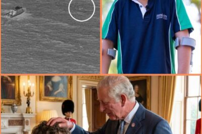 A HERO HONOURED: KING CHARLES PRAISES 13-YEAR-OLD AUSTIN APPELBEE From battling ferocious waves to saving his entire family, 13-year-old Austin Appelbee’s courage has now been recognised at the highest level.