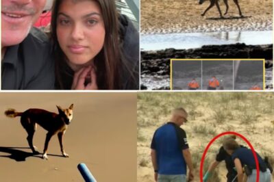 “WHY DID ALL OF HER BELONGINGS VANISH?” Police Reveal Disturbing New Details in Piper James Case — A Missing Item Carrying Unusual DNA Is Now the Focus of a Quiet, High-Stakes Hunt!