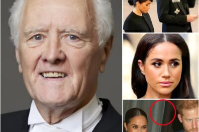 “I’M DONE PRETENDING — THEY WENT AFTER THE TITLES, NOW THE TRUTH COMES OUT.” Chaos Erupts as House of Lords Pushes to Strip Sussex Titles — Meghan’s 14-Word Response Sends Internet Into Frenzy!