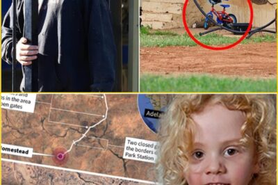 “THIS WAS NEVER A ORDINARY MISSING CASE..!.” — Police now say 4-year-old Gus Lamont did NOT disappear alone… and the latest breakthrough has ended with chilling details that have sh0cked everyone!