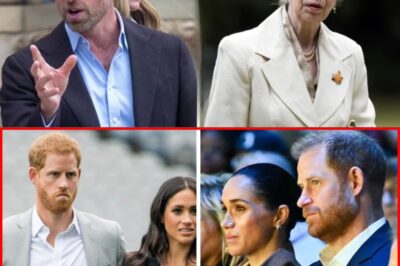 Sources Say Princess Anne and Prince William Held Late-Night Crisis Meeting – Palace Launches Unprecedented Plan to Permanently Block Meghan’s Return!