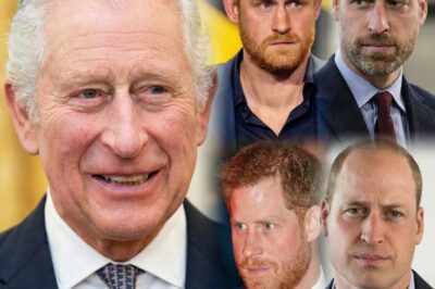Prince Harry’s Final Plea for Reconciliation Met with William’s Icy Rejection: “The Door Is Slammed Shut Forever”