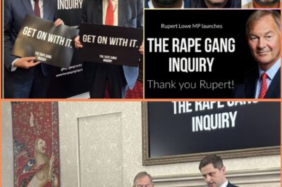 “The Evidence Was There”: Rupert Lowe’s R-a:pe Gang Inquiry Opens as Long-Ignored Warnings Come to Light