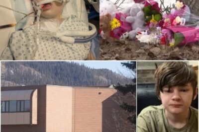 Update on Maya Gebala, a victim of the Tumbler Ridge shooting  Day 4: Today we received hopeful news — a significant step forward. A nurse has also observed slight pupil dilation, another encouraging sign.
