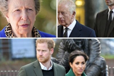 SH0CKING REVELATION: WILLIAM IS STUNNED TO REALIZE, “HE WAS DECEIVED” BY THE SUSSEXES – PRINCESS ANNE PULLS WILLIAM AND KING CHARLES Out of a Manipulation Trap.
