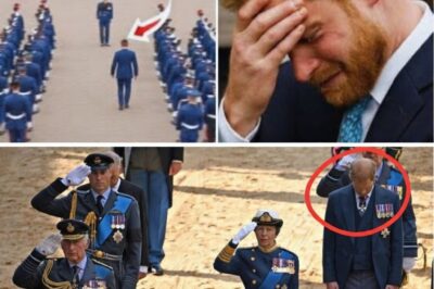 When Prince Harry quietly returned to the United Kingdom for a brief, low-profile visit earlier this month, royal observers were watching closely for any sign of open hostility or reconciliation.
