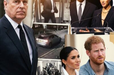 THE SUSSEXES BELIEVE THEY ARE THE HEROES OF THE ROYAL FAMILY AND THE ONLY ONES WHO CAN SAVE THE MONARCHY FROM THE ANDREW CRISIS!