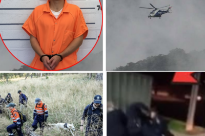 HOT NEWS: “The latest sign of life from Dezi Freeman — and the clue that led police to finally capture him after days of searching.”