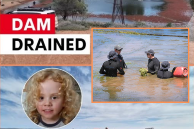 BREAKING: Police have just opened a sealed box found 500m from where little Gus went missing — and what they discovered inside has left investigators stunned.