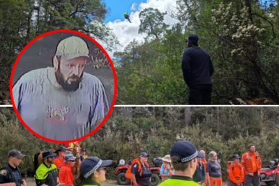 A miraculous survival: Incredible footage captures the moment Corey Chugg was rescued from the dense bushland