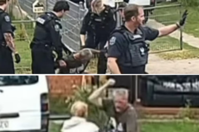 SHOCKING FOOTAGE: The cold-bl00ded moment a 50-year-old man lunges at his acquaintance in a vi0lent st@:bbing right in the front yard!