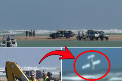 Ocean tragedy: Video shows plane rolling and nosediving into the sea, leaving 3 d3:ad