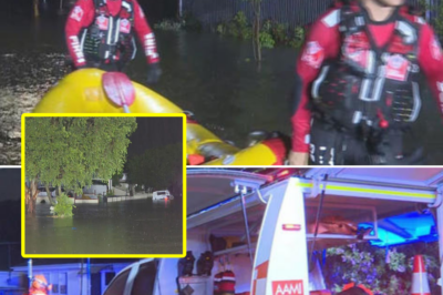 490 distress calls, many residents evacuated: Severe heavy rain turns Sydney into a giant, d3:adly water trap