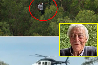 Sydney’s mistaken kidnapping nightmare: The real “target” remains safe, while an 85-year-old man languishes in the deep forest awaiting d3:ath!
