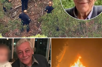 Who was the actual target in the mistaken kidnapping of the 85-year-old man?