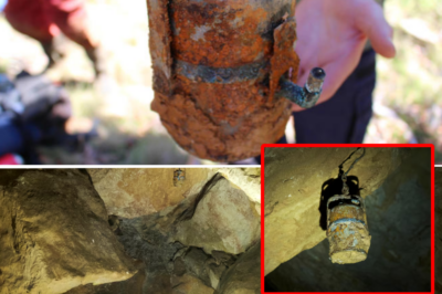 The breathless rescue of the ancient lamp after more than half a century deep underground: Brian O’Brien’s final wish has come true!